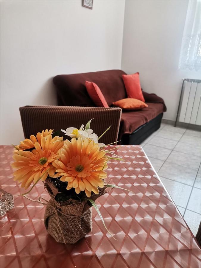 Apartments Petrica マリンスカ エクステリア 写真